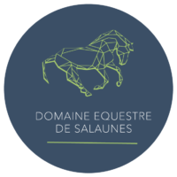 Domaine Equestre de Salaunes Logo
