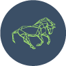 Domaine Equestre de Salaunes Logo